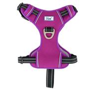 Ancol Viva Exercise and Travel Dog Harness in Purple - Comfortable Pet Accessory with Padded Chest and 2 Leash Clips - XL 80-120cm