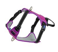 Ancol Viva Exercise and Travel Dog Harness in Purple - Comfortable Pet Accessory with Padded Chest and 2 Leash Clips - Large 60-85cm