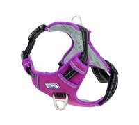 Ancol Viva Exercise and Travel Dog Harness in Purple - Comfortable Pet Accessory with Padded Chest and 2 Leash Clips - Small 35-45cm