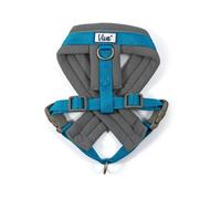 Ancol Viva Medium Blue Padded Dog Harness