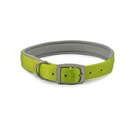 Ancol Padded Viva Dog Collar with Buckle - Lime Durable Walking Accessory for Dogs Puppies - Size 4 Fits 35-43 cm Neck