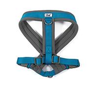 Ancol Viva Padded Dog Harness Blue - Large