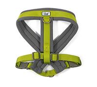 Ancol Viva Padded Harness Lime L 52-71cm