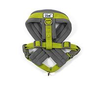 Ancol Viva Padded Harness Lime M 41-53cm