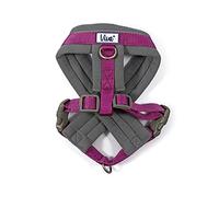 Ancol Viva Padded Harness Purple M 41-53cm
