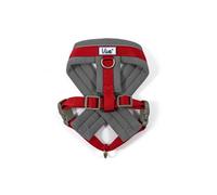 Ancol Viva Padded Dog Harness Red | Dogs