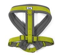 Ancol Viva Padded Dog Harness - Sizes Small to XXL