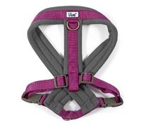 Ancol Viva Padded Dog Harness - Sizes Small to XXL