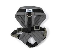 Ancol Viva Padded Harness Black M 41-53cm