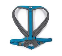 Ancol Dog Harness Viva - Padded, Blue - Extra Large (70-98 cm)