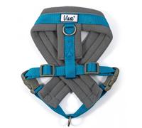 Ancol Viva Padded Harness for Dogs - Blue - Size: Large