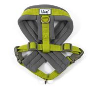 Ancol Viva Padded Harness for Dogs - Lime - Size: Medium