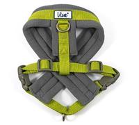 Ancol Viva Padded Harness Lime 32-42cm