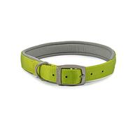Ancol Viva Padded Soft Touch Dog Collar with Satin Buckle - Adjustable Weatherproof Comfortable Pet Neckband, Lime, 50-59cm
