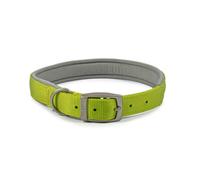 Ancol Viva Padded Soft Touch Weatherproof Walking Lime Buckle Collar Pet Accessory 50-59 Cm, Size 7