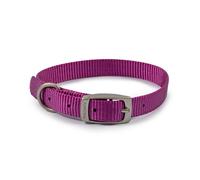 Ancol Viva Purple Dog Collar - Size 4 (35cm - 43cm)