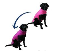 Ancol Viva Reversible Coat Pnk/Prpl 25cm