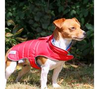 Ancol Viva Reversible Dog Coat Red/Blue Hi-Vis - Extra Small