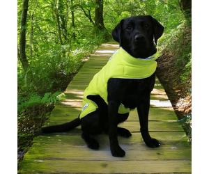 Ancol Viva Reversible Hi-Viz Dog Coat - Black - Size: Large - Dog Jackets