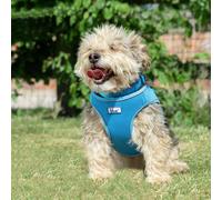 Ancol Viva Step In Dog Harness - Blue - Size: X Large