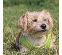 Ancol Viva Step-in Comfort Harness Lime .Small/Medium- To fit 41-47cm