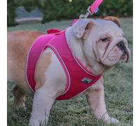 Ancol Viva Step In Dog Harness - Pink - Size: Medium