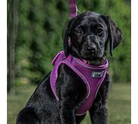 Ancol Viva Step in Comfort Dog Harness with Air Mesh Fabric - Purple - Reflective Adjustable Quick Fit Pet Training Accessory - 41-47cm S / M