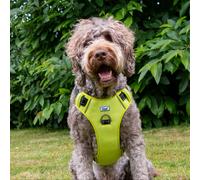 Ancol Viva Travel Harness - Lime - Size: Medium