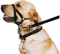 Ancol Weatherproof Nylon Dog Training Halter Head Collar - Black - Sturdy Pulli