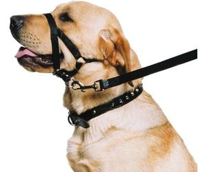 Ancol Weatherproof Nylon Dog Training Halter Head Collar - Black - Sturdy Pulli