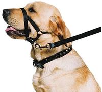 Ancol Training Halter for Dogs - Medium - Size 3 - 4