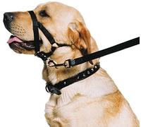 Ancol Weatherproof Nylon Black Training Halter Head Collar Animal Pet Training Accessory, Xlarge