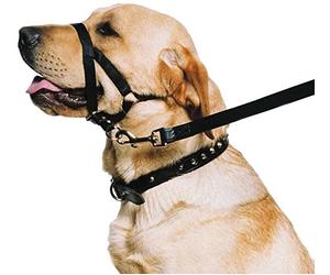 Ancol Weatherproof Nylon Dog Training Halter Head Collar - Black - Sturdy Pulling Control Pet Walking Accessory - Medium