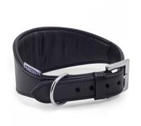 Ancol Whippet & Greyhound PADDED Collar Black