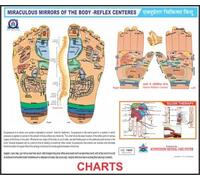 ANCS Acupressure Reflexology Chart Colored, Foot & Hand, Combined, One pc (Paper Made) Size 11"x18"