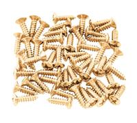 and Electric Guitar Pickguard Screws Perfect for Instrument Maintenance and Securing Installation Guitar Building Supplies