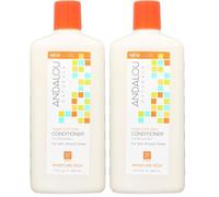Andalou Argan and Sweet Orange Moisture Rich Conditioner 340 ml (Pack of 2)