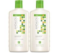 Andalou | Exotic Marula Oil Silky Smooth Shampoo | 1 x 340ml (Pack of 2)