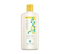 Andalou Sunflower and Citrus Brilliant Shine Conditioner 340 ml