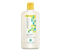 Andalou Sunflower and Citrus Brilliant Shine Shampoo 340 ml