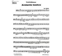 Andante festivo : for strings