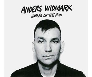 Anders Widmark - Horses on the Run