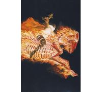 Anderson, Brent Eric - Brothers in Arms (Bk. 2) (Astro City - The Dark Age)