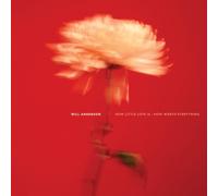 ANDERSON - HOW LITTLE LOVE IS/HOW WORTH E - Vinyl Record lp - G3z