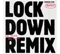 Anderson Paak - Lockdown [New 12" Vinyl] Picture Disc