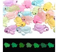 Andibro 24 Pcs Luminous Mini ResinTurtles Figurines, Multicolor Miniature Turtle Figure Glow in The Dark, Cute Tiny Turtle Animal Statue for DIY Micro Landscape Dollhouse Fairy Garden