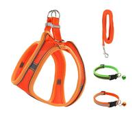 Andiker 4-Piece Small Dog Harness and Lead Set, with Night Reflective Straps and Breathable Mesh, Summer Puppy Harness with 2 Pieces Puppy Collars for Small Dogs, Cats (Orange S)