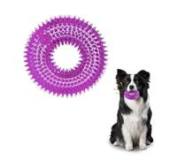Andiker Squeaky Dog Toy, Safe TPR Chewable Dog Toys for Teeth Grinding&Cleaning Dog Fetch Toys for Enhancing Interactivity Outdoor Suitable for All Dog Sizes Puppy’s and Dogs (Large Purple)