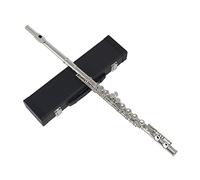 Andoer Flute, Western Concert Flute - Cupronickel Plated Silver 16 Holes C Key Flute Woodwind Instrument with Cleaning Cloth Stick Gloves Padded Carrying Case