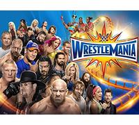 Andre the Giant Memorial Battle Royal